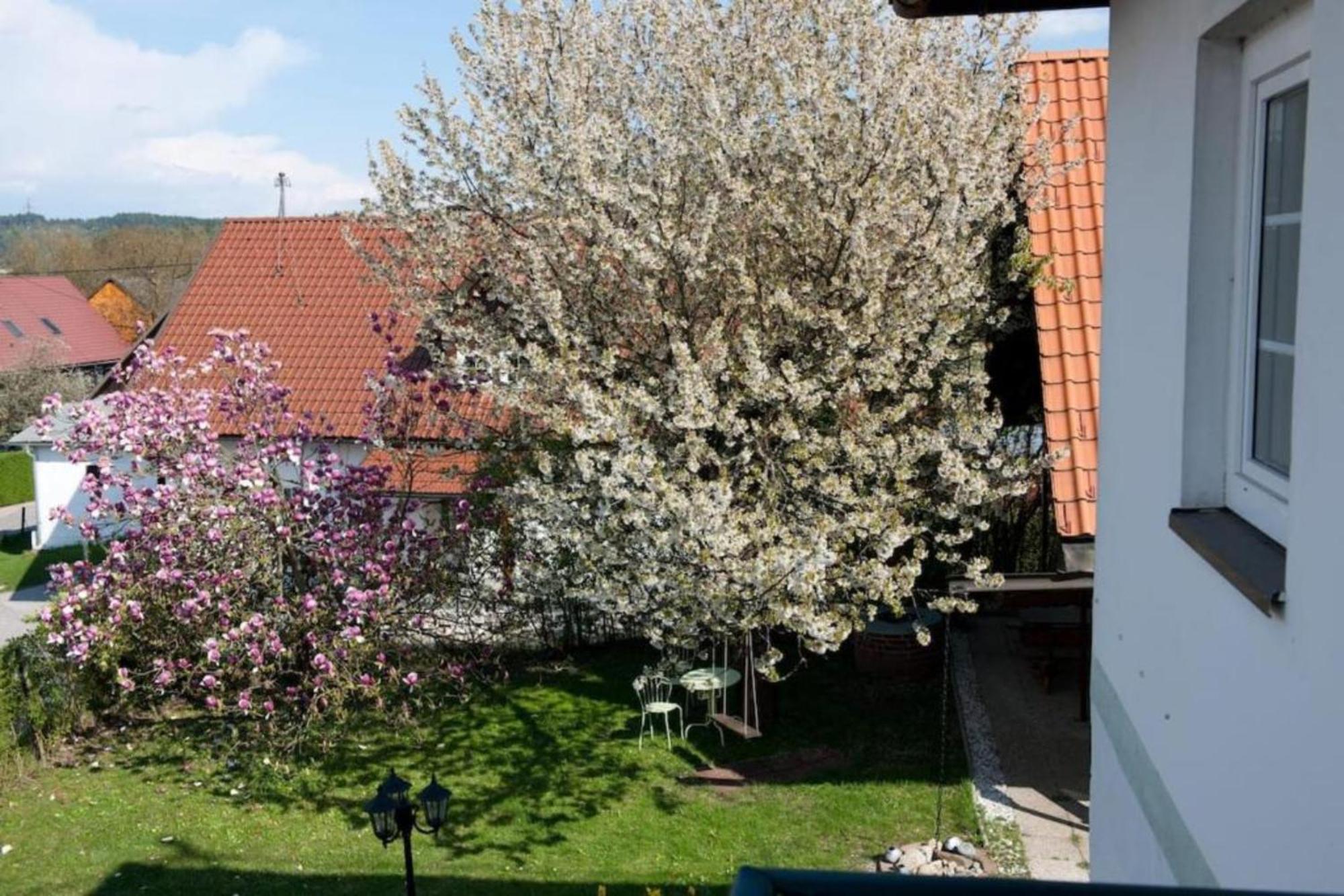 Urlaubsapartment Am Silbersee فيلاخ المظهر الخارجي الصورة